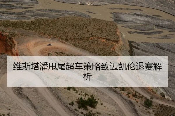 维斯塔潘甩尾超车策略致迈凯伦退赛解析